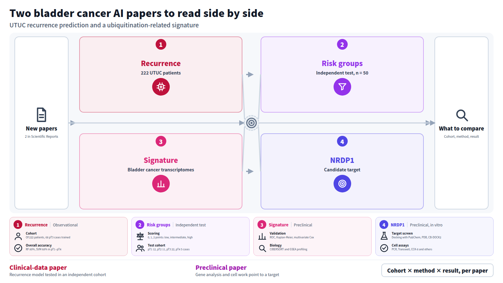 Diagram of two bladder cancer AI papers side by side. Input: new papers in Scientific Reports. The first uses nuclear features in 222 UTUC patients to predict recurrence and tests risk groups in an independent cohort of 50. The second builds a ubiquitination-related prognostic signature from bladder cancer transcriptomes and proposes NRDP1 as a target. Output: what to compare in cohort, method and result.