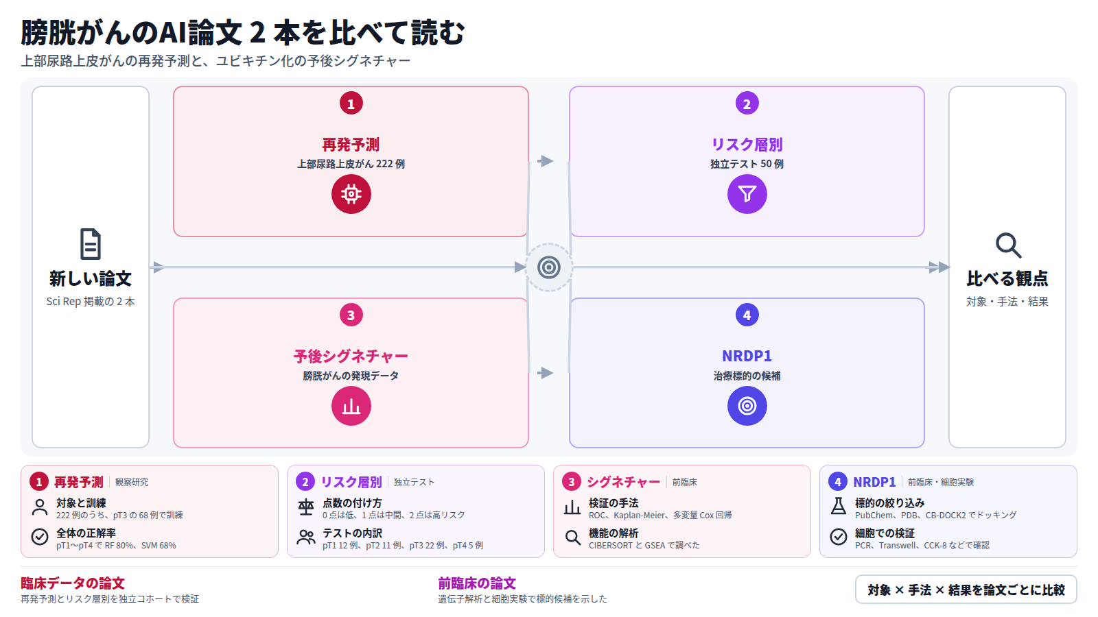 膀胱がんのAI論文 2 本を並べた図。入口は Sci Rep 掲載の新しい論文。一本目は上部尿路上皮がん 222 例で、核の特徴量から再発を予測し、独立テスト 50 例でリスク層別を検証した。二本目は膀胱がんの発現データから予後シグネチャーを作り、NRDP1 を治療標的の候補とした。出口は、対象・手法・結果を比べる観点。