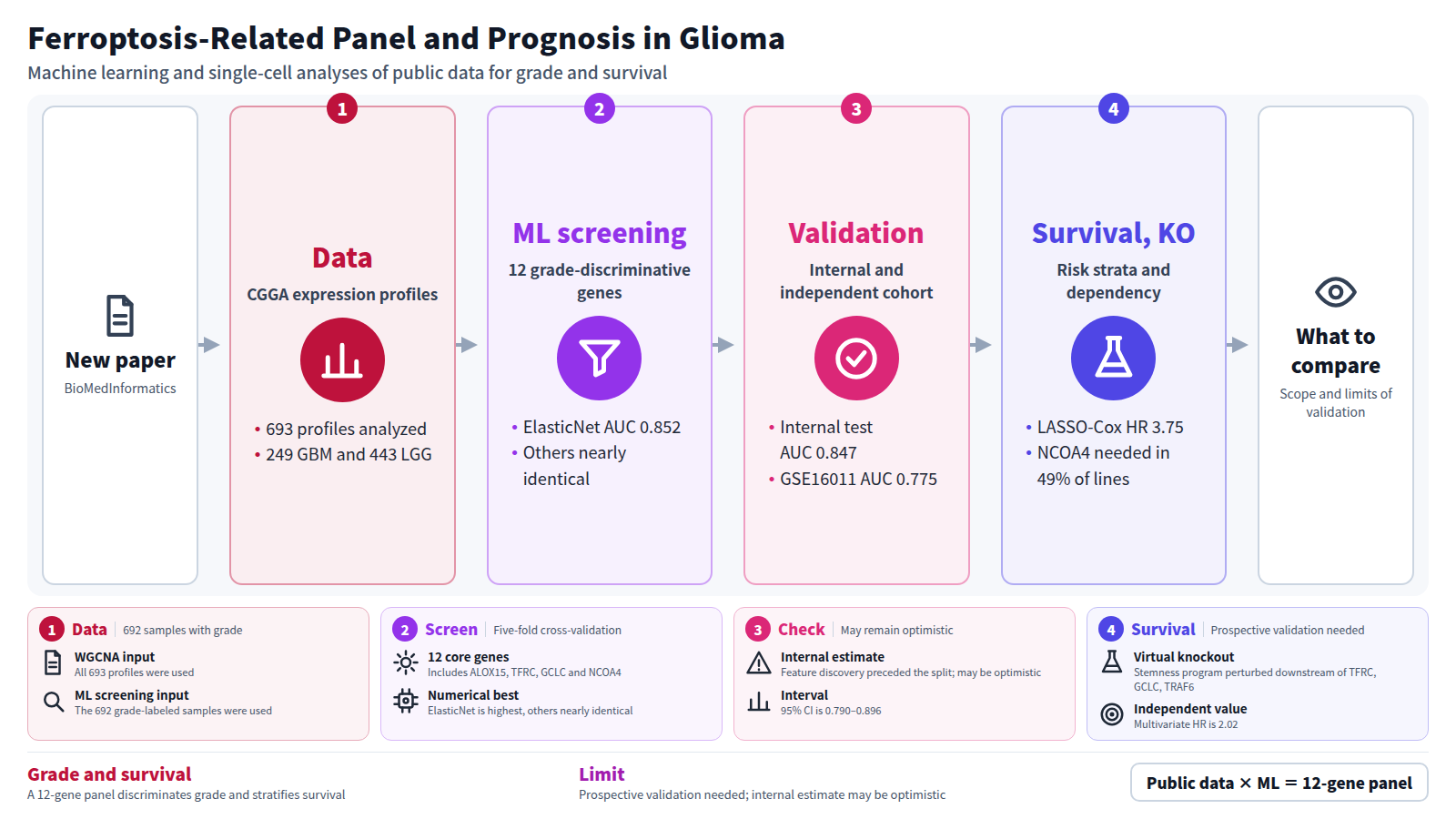 One glioma paper shown in four stages: data, screening, validation, survival. CGGA expression profiles (693) are analyzed, including 249 GBM and 443 LGG. Machine learning selects 12 grade-discriminative genes, with ElasticNet AUC 0.852. The internal test AUC is 0.847 and the independent cohort AUC is 0.775. A LASSO-Cox risk score stratifies survival with HR 3.75. Prospective validation is needed.