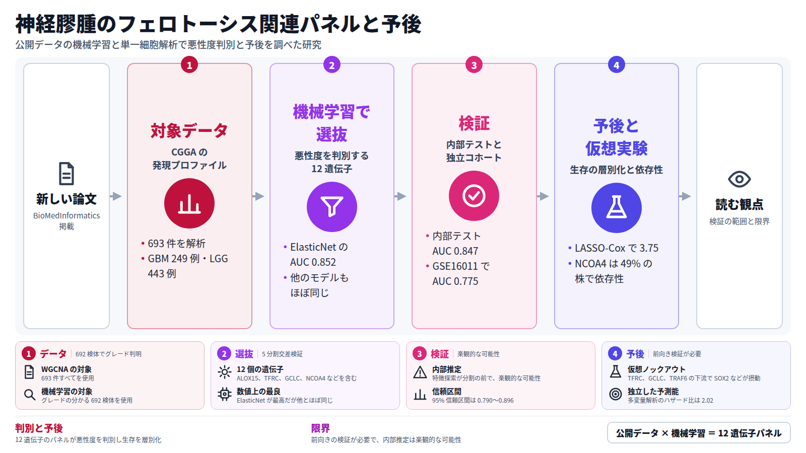 神経膠腫の論文一本を、対象、選抜、検証、予後の四段で示す。まず CGGA の発現プロファイル 693 件を解析し、GBM 249 例と LGG 443 例を含む。次に機械学習で悪性度を判別する 12 遺伝子を選び、ElasticNet の AUC は 0.852。内部テストの AUC は 0.847、独立コホートでは 0.775。最後にリスクスコアのハザード比 3.75 で生存を層別化した。前向きの検証が必要である。