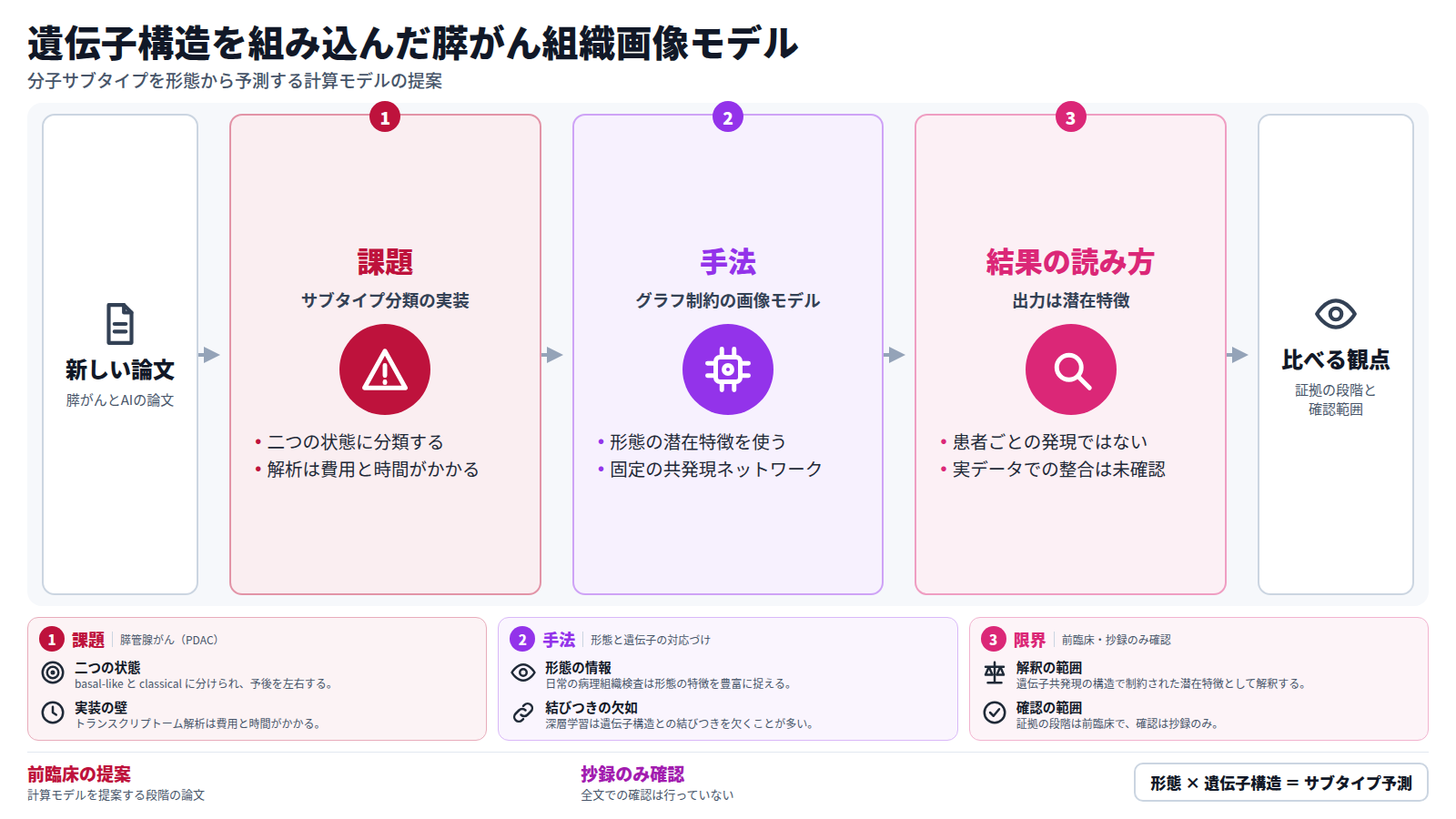 膵がんの新しい論文を入口に、三つの段で読む。課題では、膵管腺がんの分子サブタイプ分類に費用と時間がかかる。手法では、形態から得た潜在特徴を固定の遺伝子共発現ネットワークに対応づける。結果の読み方では、出力は患者ごとの発現の推定ではなく、実データでの整合も未確認である。出口は、証拠の段階と確認範囲を比べる観点。