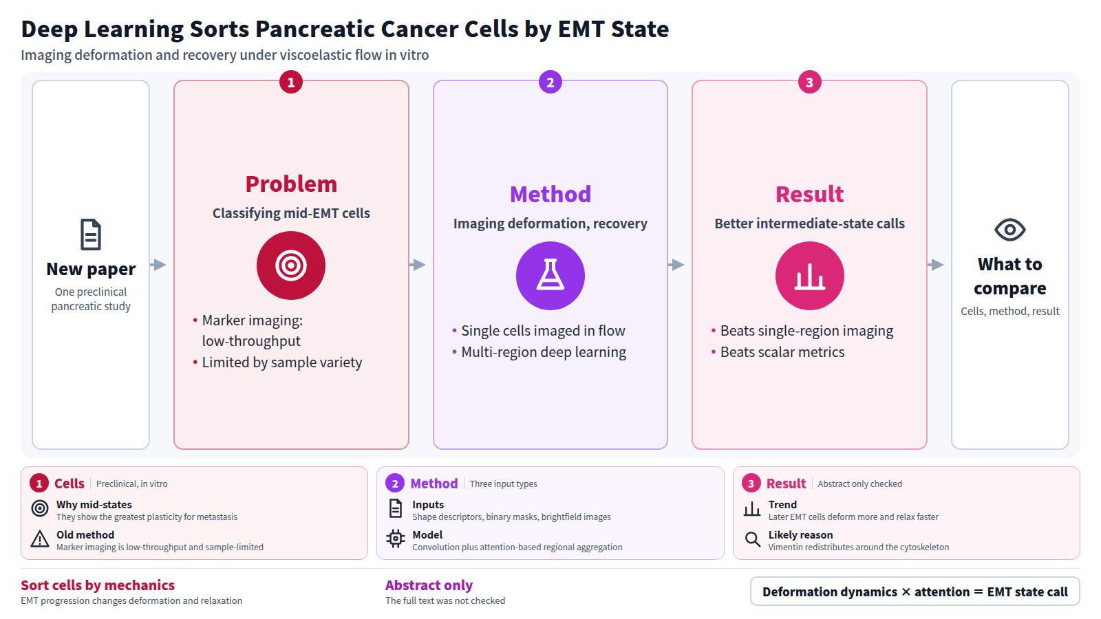 Diagram of one new preclinical pancreatic cancer paper. The problem: classifying cells in intermediate epithelial-to-mesenchymal states, where immunofluorescence is low-throughput. The method images single cells deforming and recovering in viscoelastic flow and classifies them with a multi-region deep learning model. The result: better classification of intermediate states than single-region flow cytometry or scalar metrics. It ends with what readers can compare: cells, method, result.
