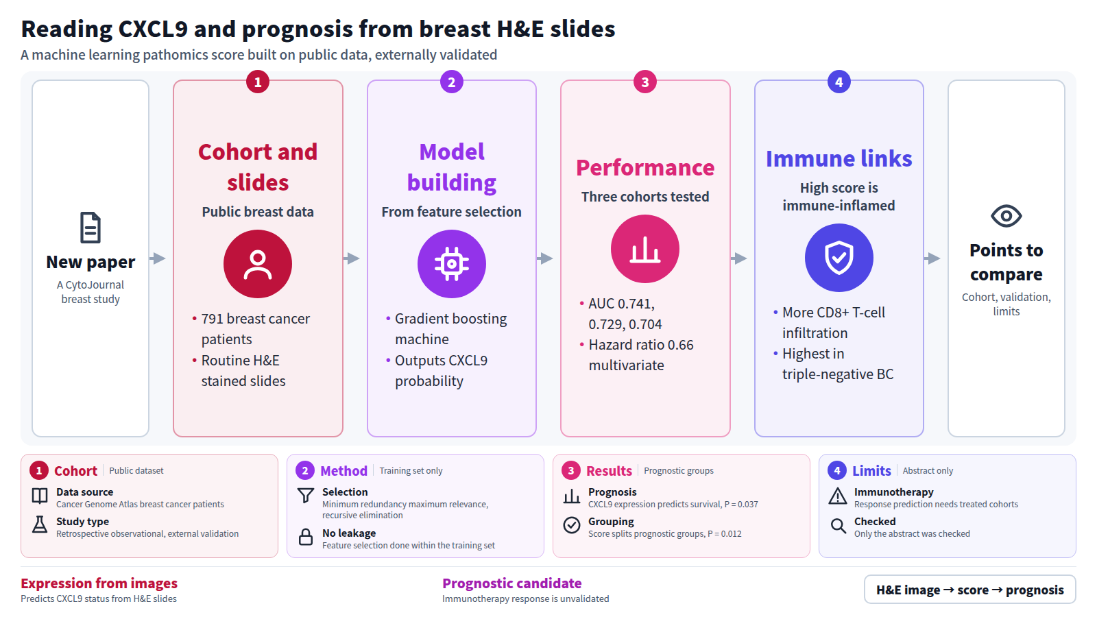 One new breast cancer paper is covered. The cohort is 791 patients with H&E stained slides from public data. After feature selection, a gradient boosting machine outputs a CXCL9 expression probability as a score. AUC is 0.741, 0.729 and 0.704 in training, testing and external cohorts. The score is a protective factor with hazard ratio 0.66; high scores show more CD8+ T-cell infiltration and are highest in triple-negative disease. Immunotherapy response is unvalidated.