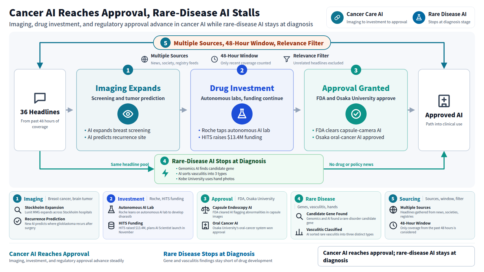 A diagram comparing cancer AI and rare-disease AI news. A frame shows 36 headlines gathered from multiple sources within 48 hours and filtered for relevance. The main line follows cancer AI: imaging expands with Stockholm-wide breast screening and glioblastoma recurrence prediction, investment continues through Roche's autonomous AI lab and HITS funding, and this reaches approval with the FDA's capsule-endoscopy AI clearance and Osaka University's oral-cancer AI approval. A bypass shows rare-disease AI: genomics finds a candidate gene, AI sorts rare vasculitis into three types, and Kobe University diagnoses via hand photos, but no drug or policy news follows, leaving it stalled at diagnosis.