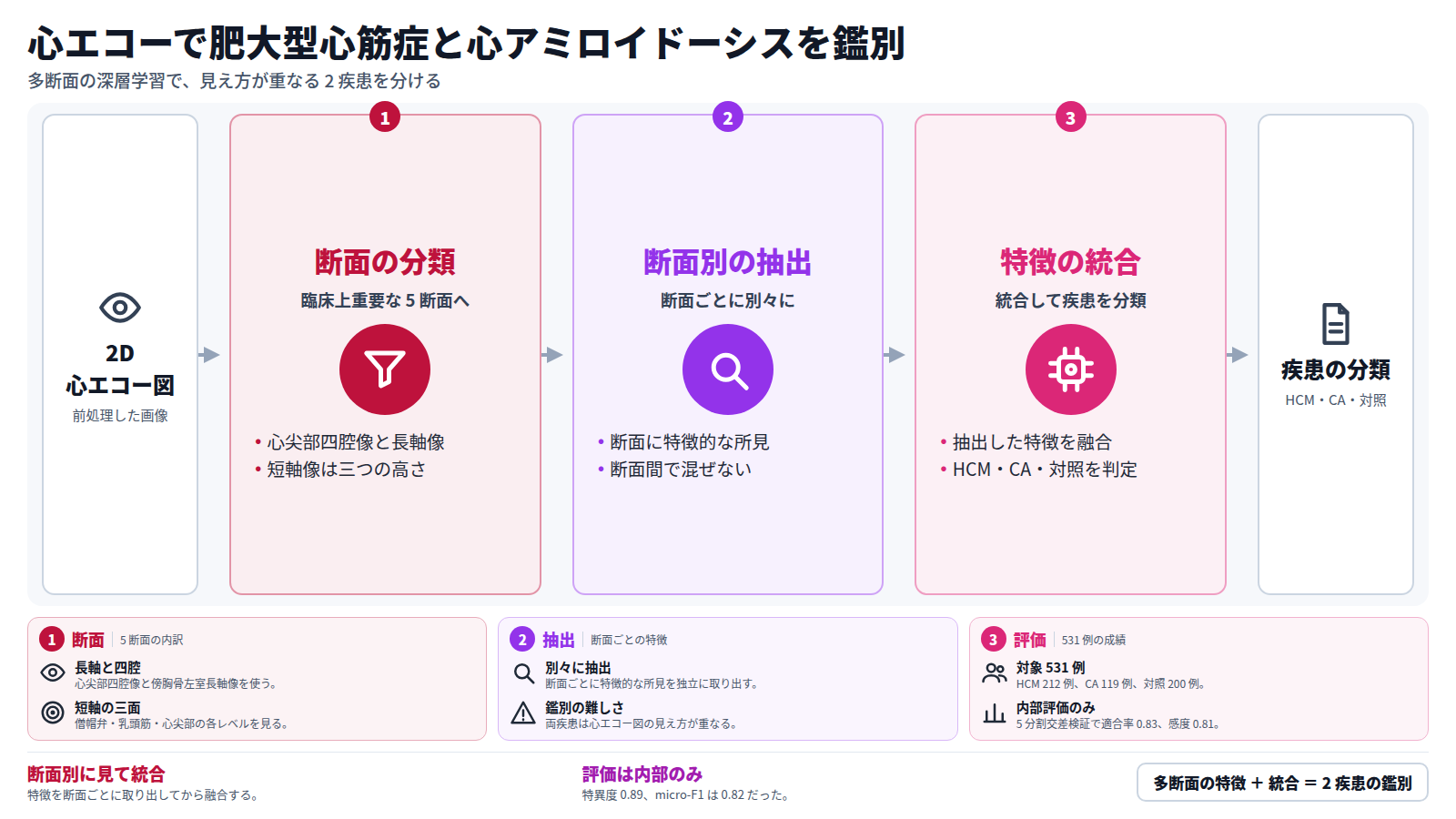 2D 心エコー図を前処理し、臨床上重要な 5 断面に分類する。次に断面ごとに特徴的な所見を別々に抽出し、最後に特徴を統合して肥大型心筋症、心アミロイドーシス、対照に分類する。対象は 531 例で、5 分割交差検証の適合率は 0.83、感度は 0.81、特異度は 0.89、micro-F1 は 0.82。評価は内部のみである。