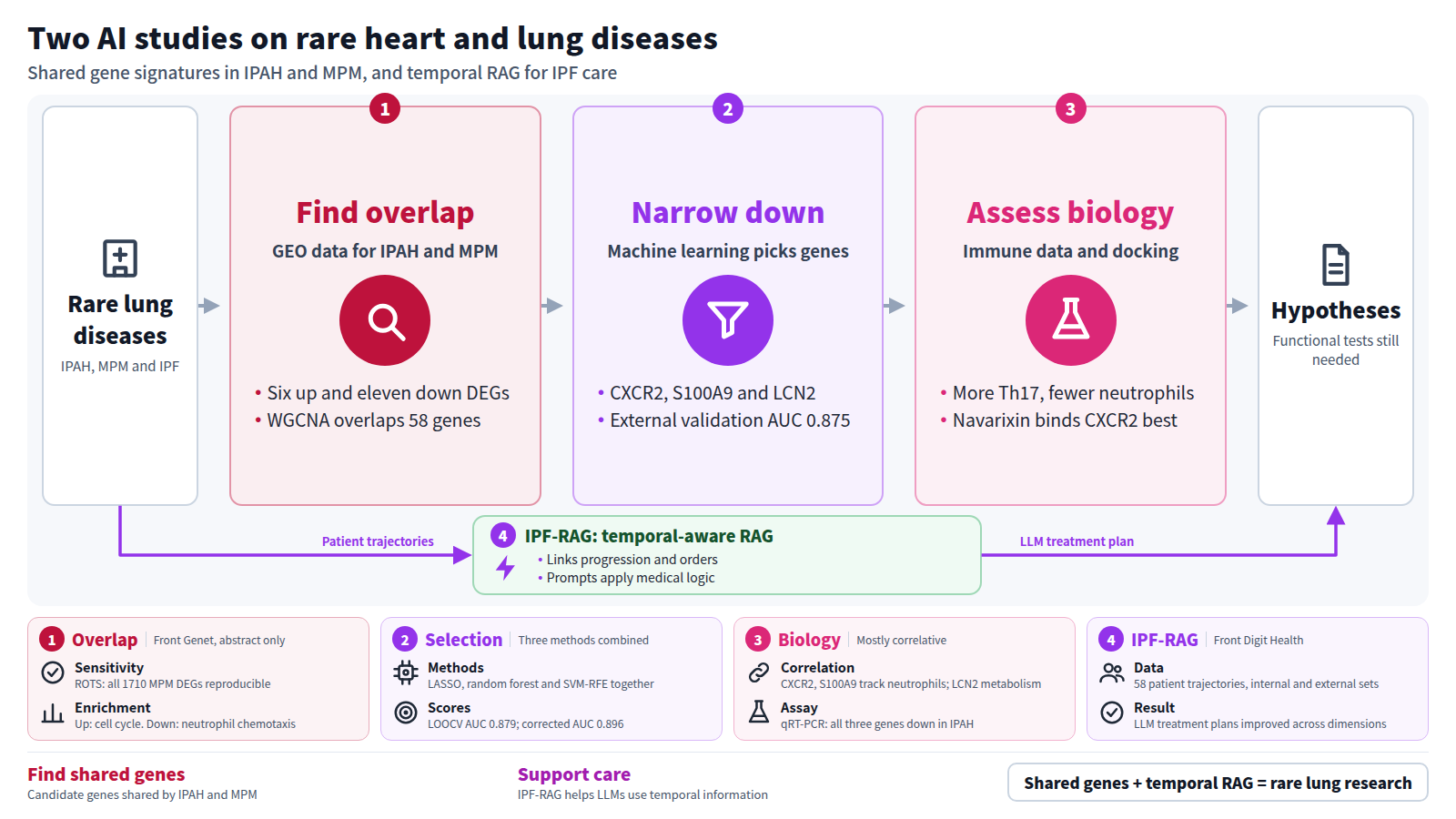 Two studies side by side. From GEO data for IPAH and MPM, shared DEGs and 58 WGCNA genes are found, machine learning narrows them to CXCR2, S100A9 and LCN2, and immune infiltration and docking assess them, ending in hypotheses. Separately, IPF-RAG retrieves patient trajectories with temporal anchoring to improve LLM treatment plans.