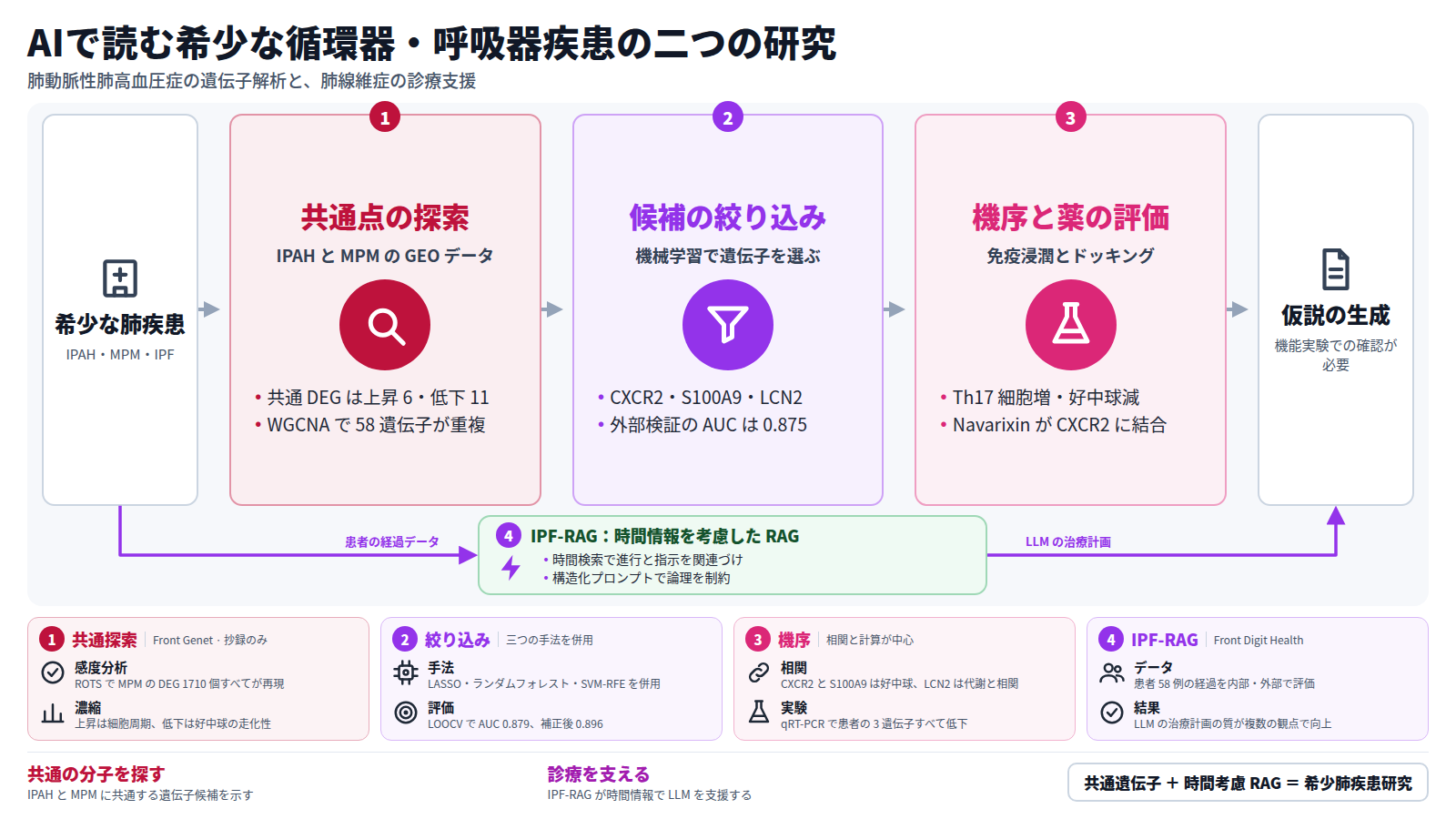 二つの研究を並べた図。IPAH と MPM の GEO データから共通の DEG と WGCNA の 58 個の遺伝子を探し、機械学習で CXCR2・S100A9・LCN2 に絞り、免疫浸潤と分子ドッキングで評価して、仮説の生成に至る。別の道として、IPF-RAG は患者の経過データを時間情報つきで検索し、LLM の治療計画の質を高める。