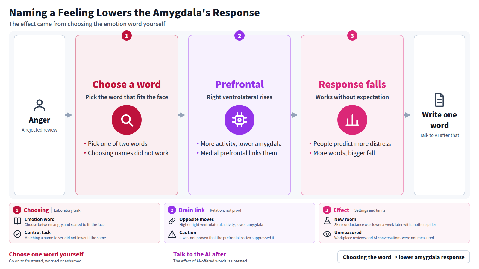 When angry, a person who chooses the emotion word that fits a face themselves shows higher right ventrolateral prefrontal activity and a lower amygdala response. The effect works without expectation and grows with the number of words used. It was confirmed in the laboratory and in phobia treatment, not in workplace reviews or with AI. So write one word yourself first, then talk to the AI.