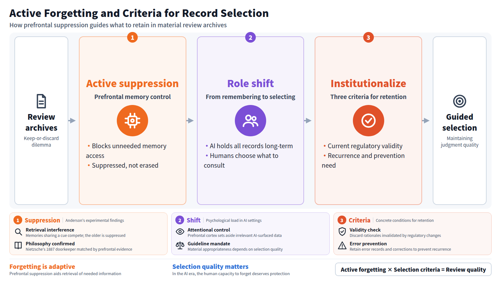 Diagram of active forgetting and review record selection. From accumulated review records, the flow has three stages. Stage one, active suppression: the prefrontal cortex suppresses unneeded memory access to aid retrieval. Stage two, role shift: when AI retains all records, humans shift from remembering to selecting what to consult. Stage three, institutionalization: three criteria determine retention — regulatory validity, recurrence likelihood, and error prevention need. The output is criteria-based selection maintaining judgment quality. Forgetting is an adaptive prefrontal function, and selection quality determines review quality.