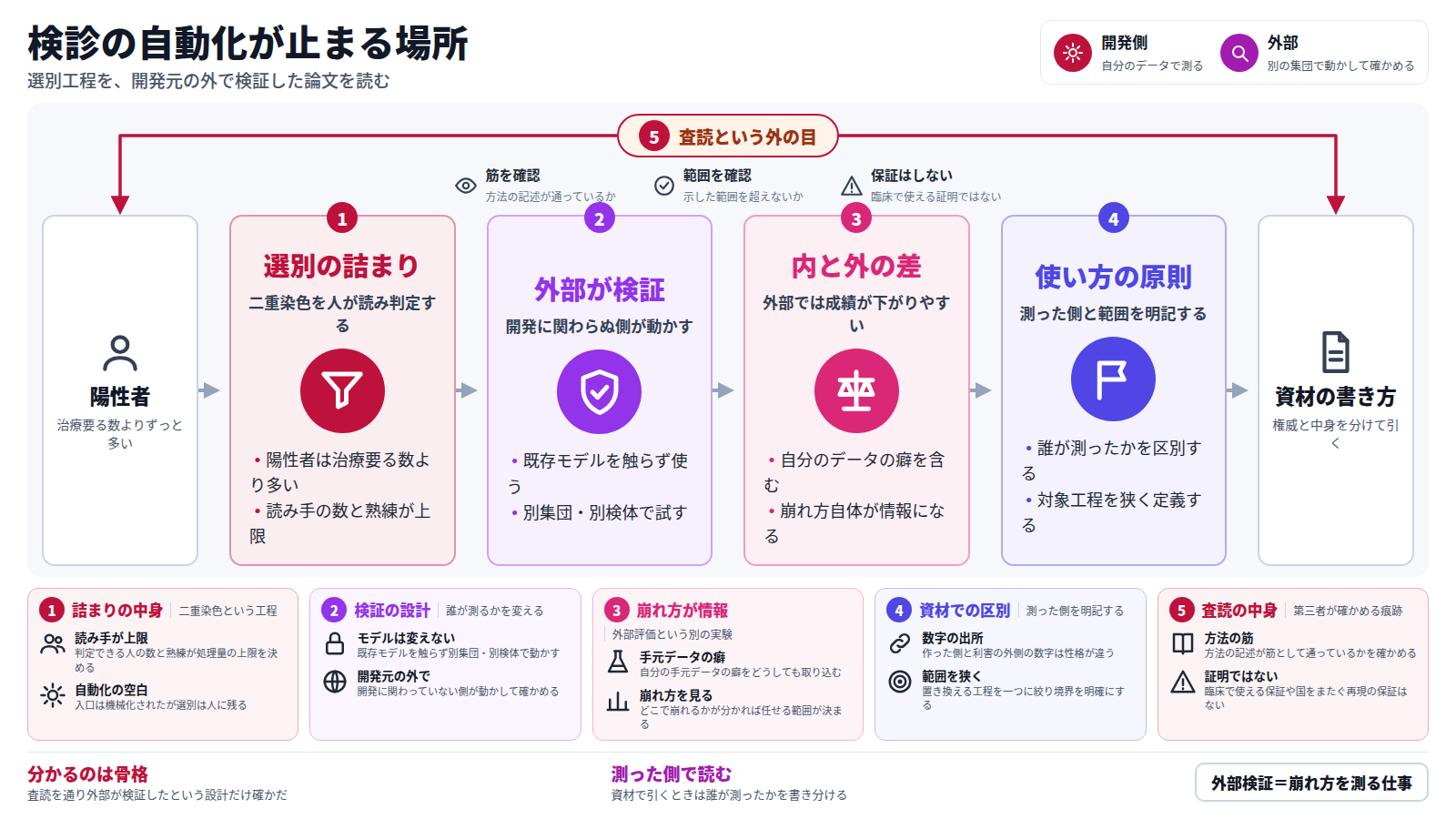この図は、子宮頸がん検診でHPV陽性者を選り分ける工程を、開発元の外で検証した論文の構造を示す。右上には開発側と外部という二つの立場を置く。開発側は自分のデータで測り、外部は別の集団で動かして確かめる。入口は治療の要る数よりずっと多い陽性者。まず選別工程の詰まりを示し、次に外部が検証するという対応を示し、続いて内と外で成績の崩れ方が違うという発見を示し、最後に測った側と範囲を明記するという使い方の原則に至る。出口は資材の書き方。全体を査読という外側の目が包み、方法の筋と範囲を確かめるが、臨床での証明ではないことを示す。